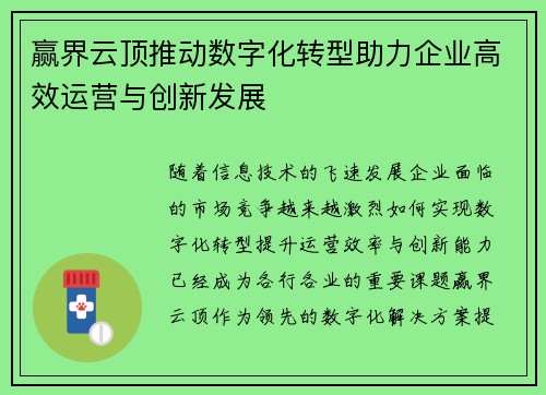 赢界云顶推动数字化转型助力企业高效运营与创新发展